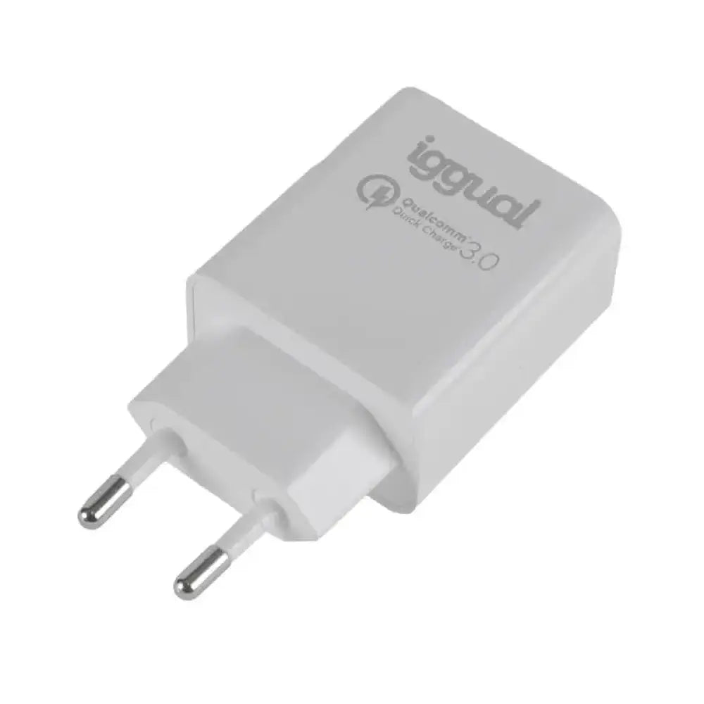 iggual Cargador doble USB QC3.0 + tipo C PD 20W - detalle
