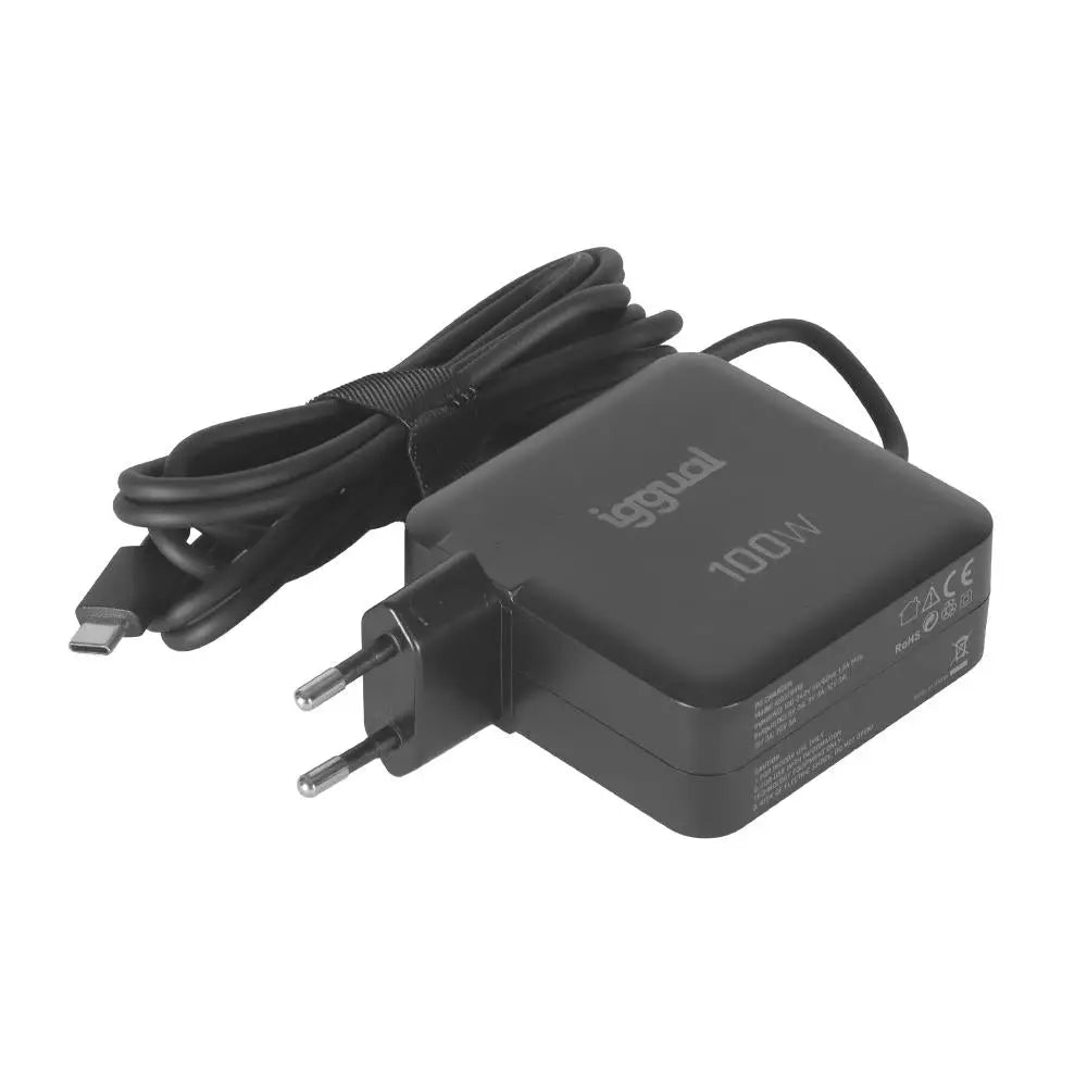 iggual Cargador portátil y móvil tipo C PD 100W - detalle