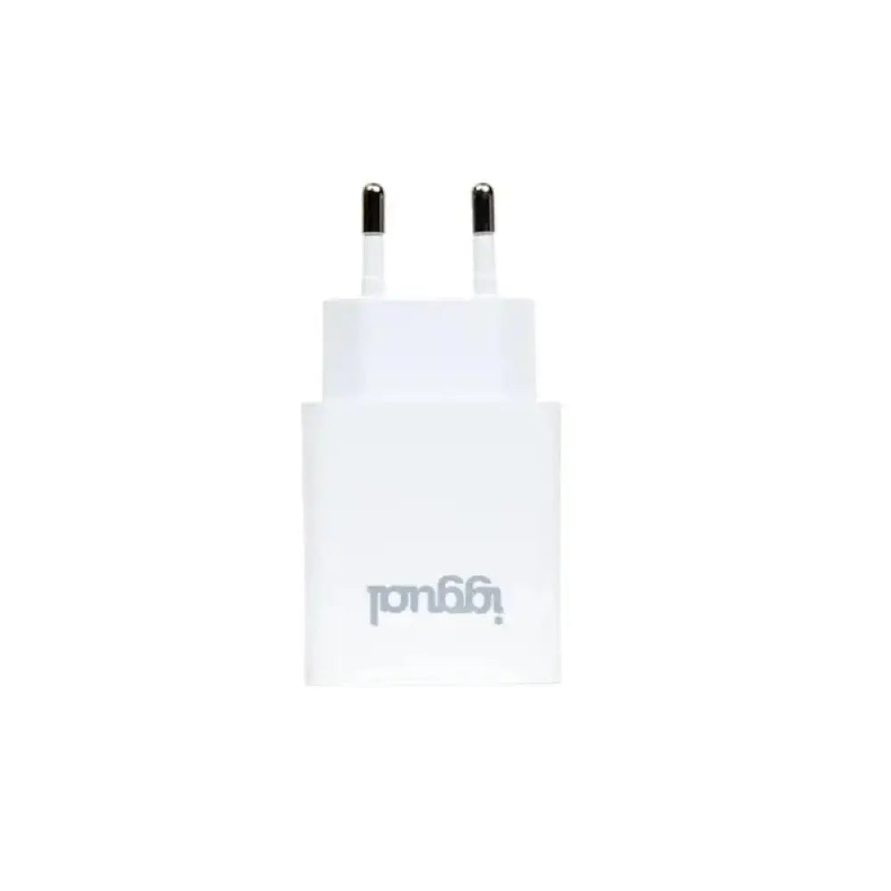 iggual Cargador rápido de pared USB PD tipo C 30W - detalle