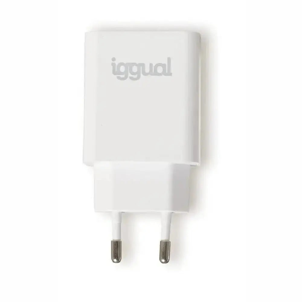iggual Cargador rápido USB PD tipo C 20W - detalle