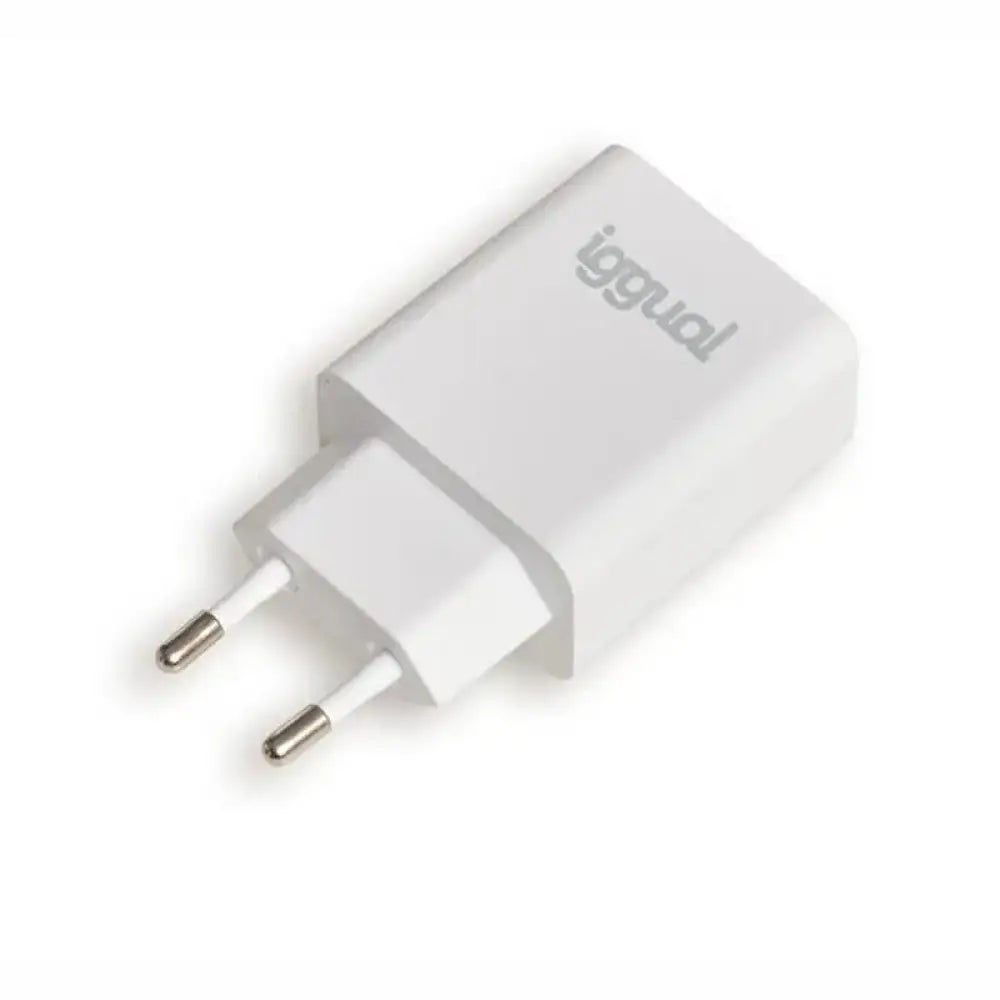 iggual Cargador rápido USB PD tipo C 20W - detalle