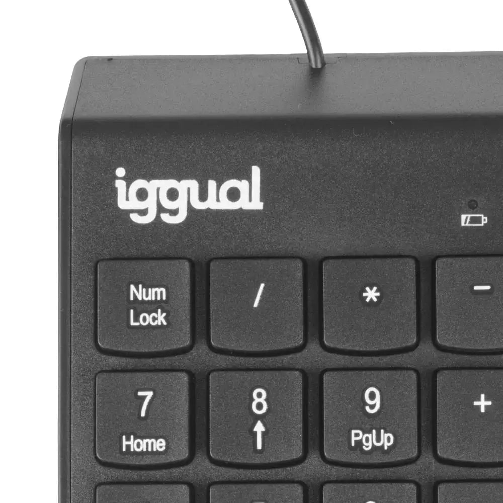 Teclado numérico USB IGGUAL CK-NUM-19T en color negro, vista frontal con teclas y diseño compacto para computadoras.