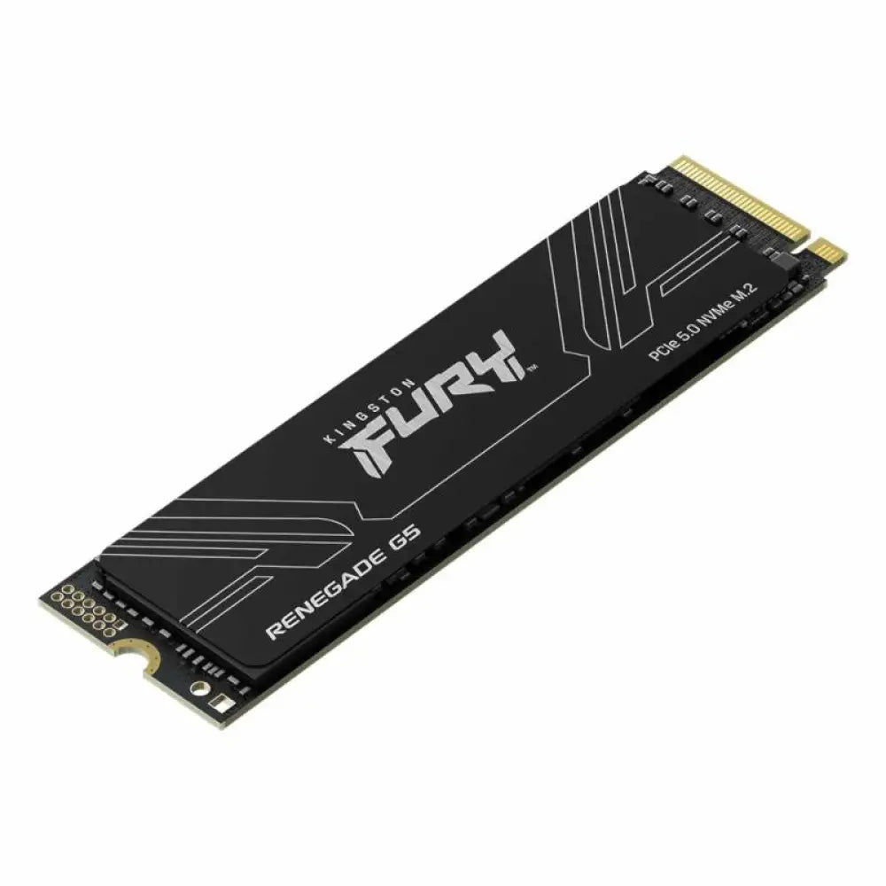Kingston Fury Renegade G5 SSD 1TB PCIe5.0 14200M-s - detalle