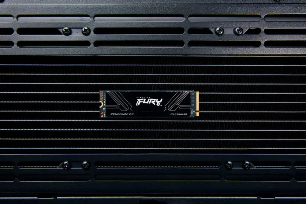 Kingston Technology 1T FURY RENEGADE G5 M.2 2280 NVMe SSD - detalle