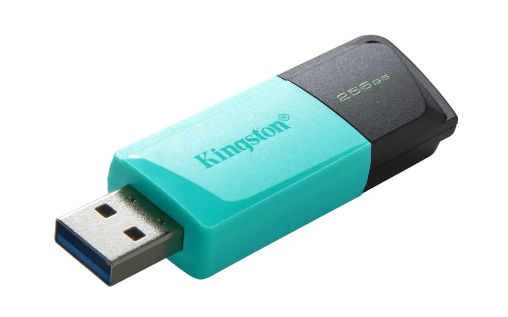 Kingston Technology DataTraveler 256GB USB3.2 Gen1 Exodia M (Negro + Turquesa) - detalle