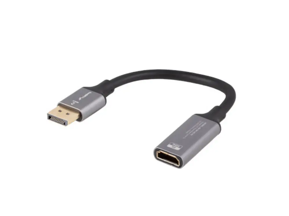 Lanberg AD-DP-HD-02 adaptador de cable de vídeo 0.2 m DisplayPort HDMI Plata