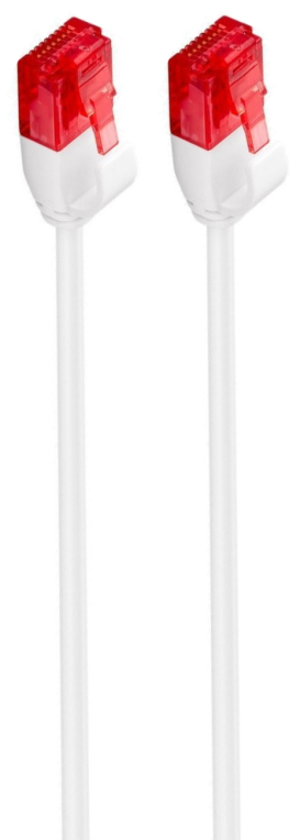LATIGUILLO SLIM EWENT CAT 6 U/UTP 0,50MT BLANCO
