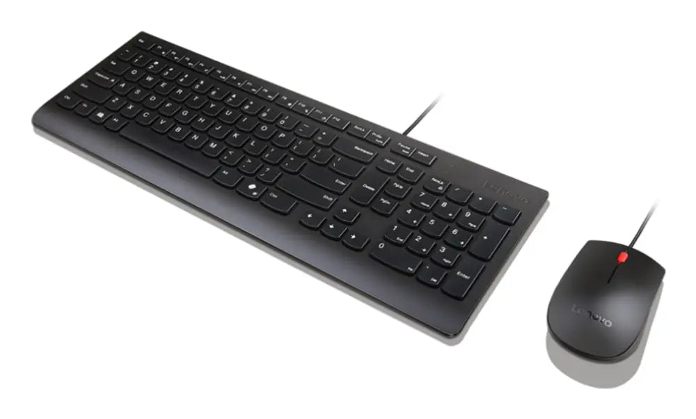 Lenovo Essential Wired Combo (ES 172) teclado Ratón incluido Universal USB Español Negro - detalle