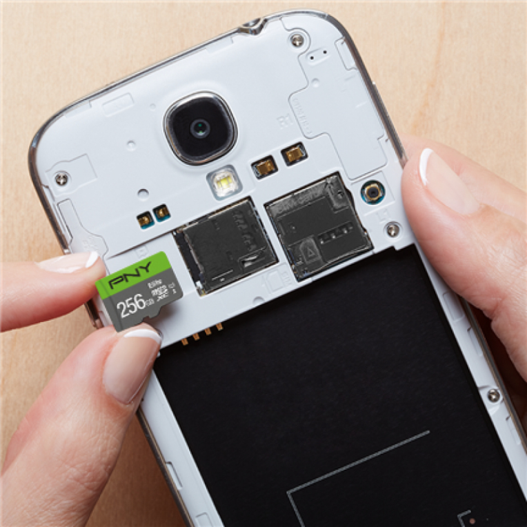 MICRO SD PNY 256GB ELITE UHS-I C10 R100 - detalle