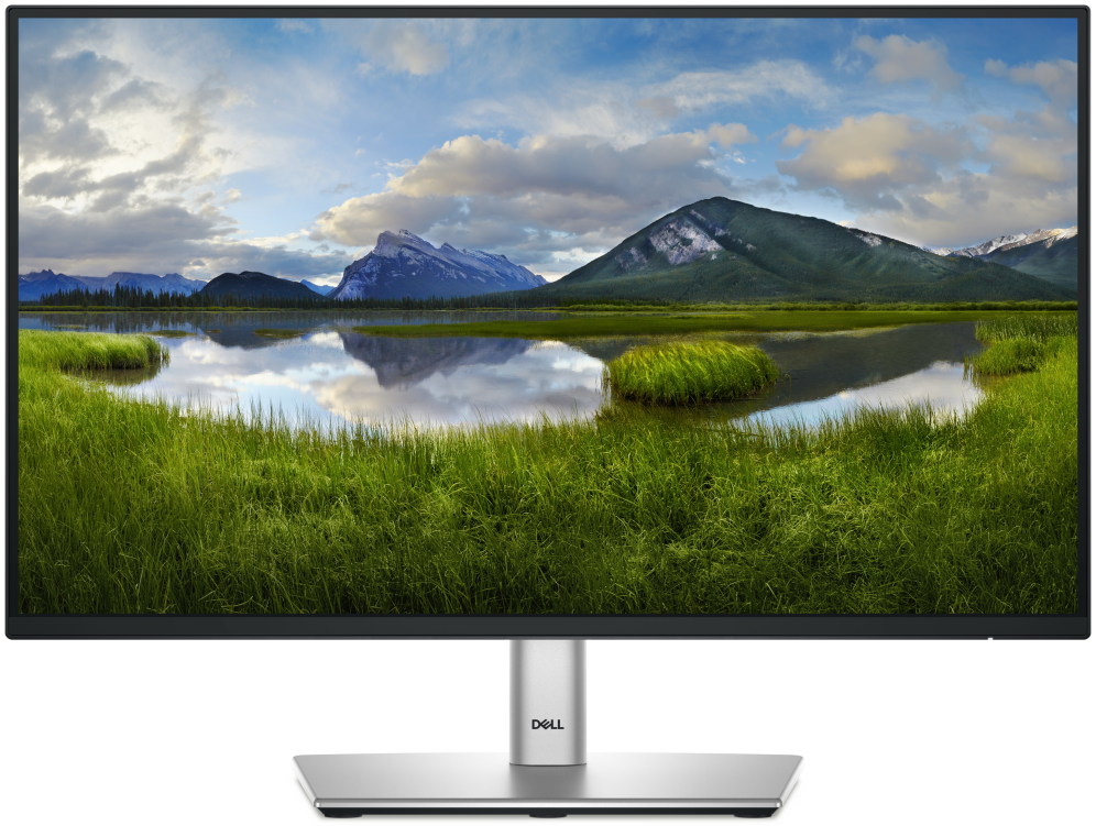 DELL P Series P2225H pantalla para PC 54.6 cm (21.5") 1920 x 1080 Pixeles Full HD LCD Negro. Plata