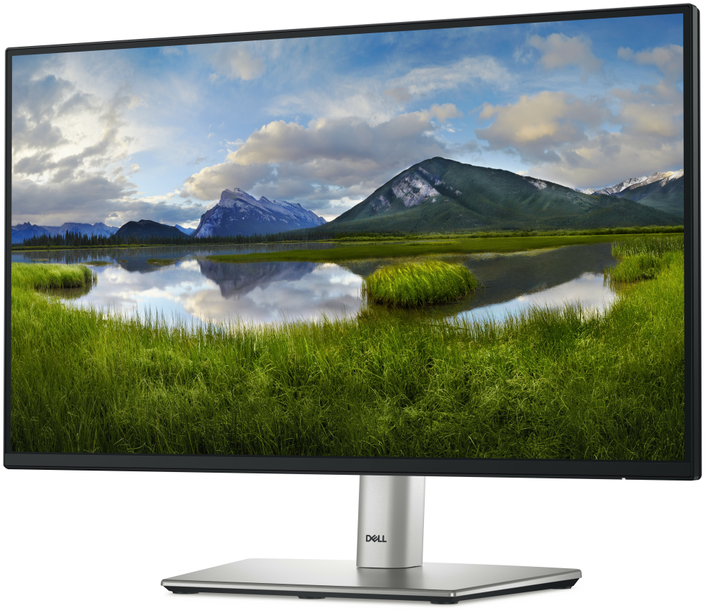 MONITOR DELL 22" P2225H LED - detalle