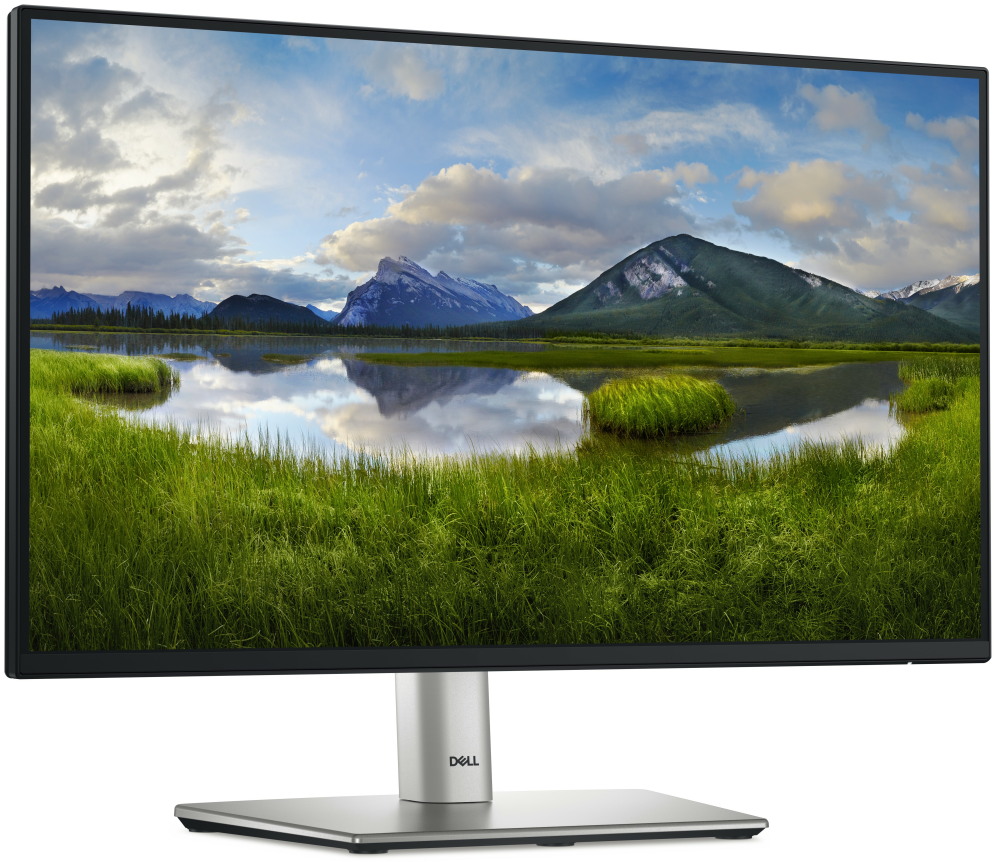 MONITOR DELL 22" P2225H LED - detalle