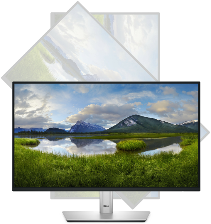 MONITOR DELL 22" P2225H LED - detalle