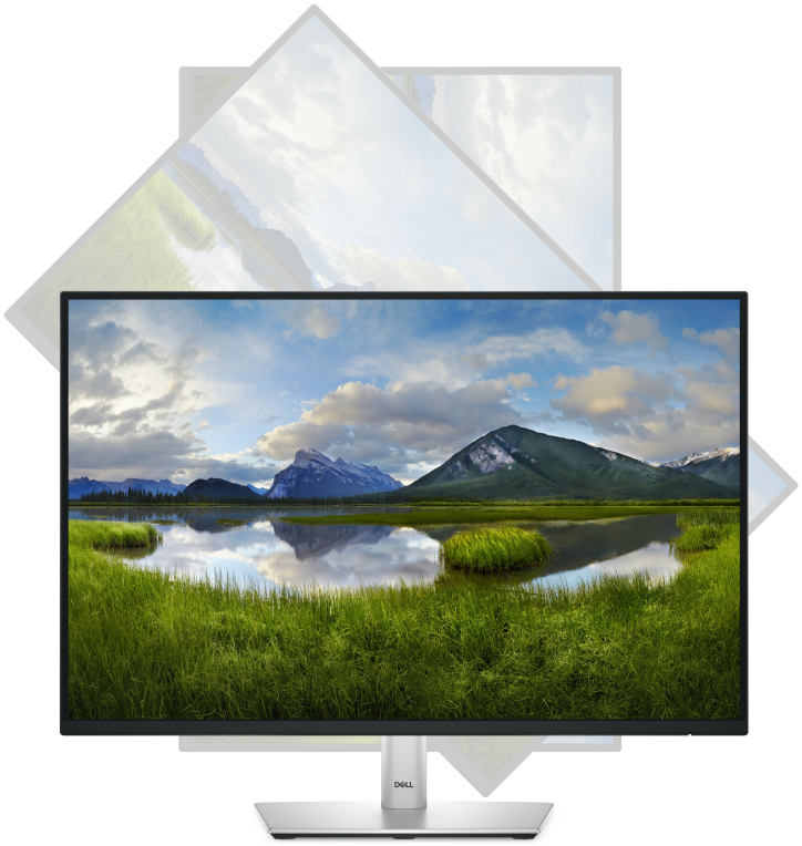 MONITOR Dell 24 Monitor - P2425Dell P2425 - Monitor LED - 24" (24.07 - detalle