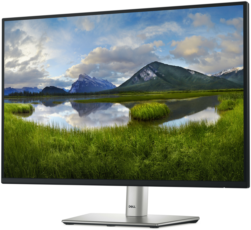 MONITOR Dell 24 Monitor - P2425Dell P2425 - Monitor LED - 24" (24.07 - detalle