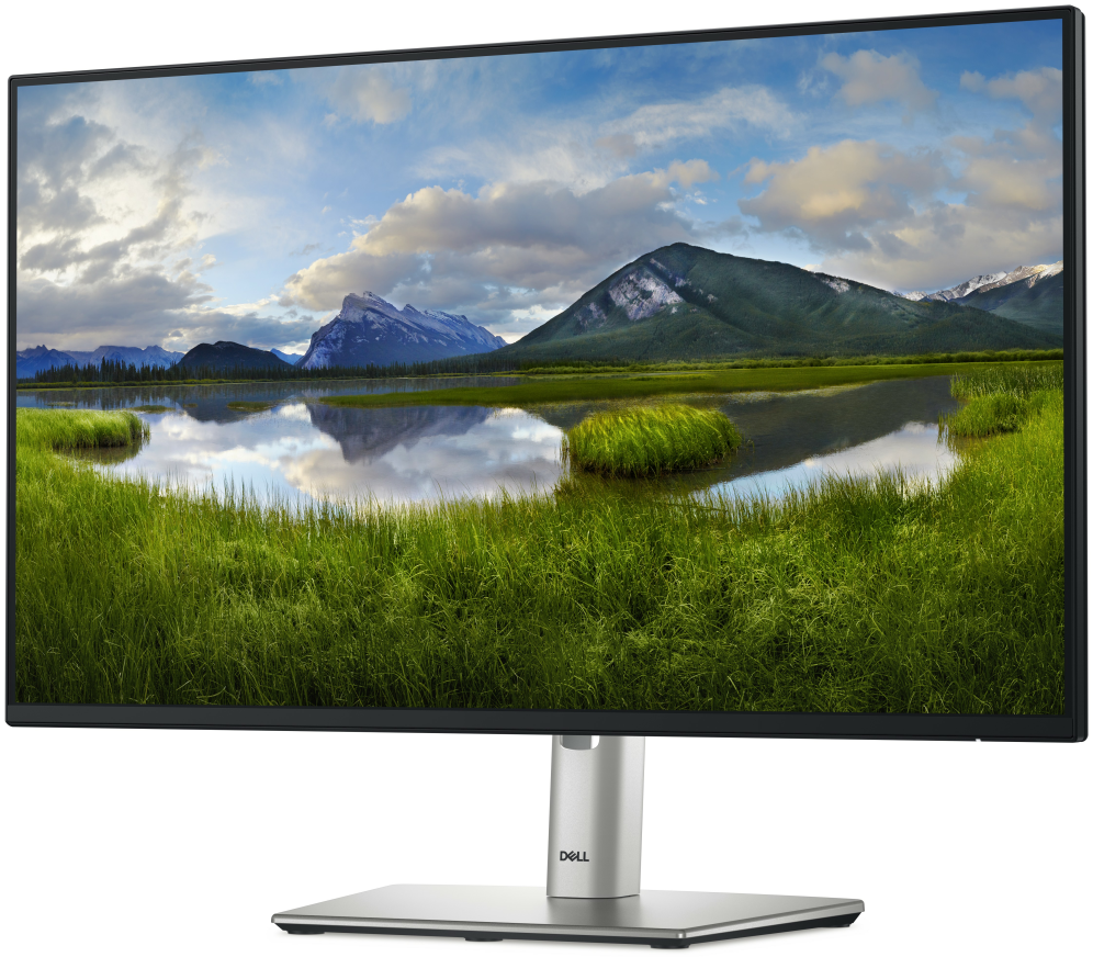 MONITOR Dell 24 Monitor - P2425HDell P2425H - Monitor LED - 24" (23. - detalle