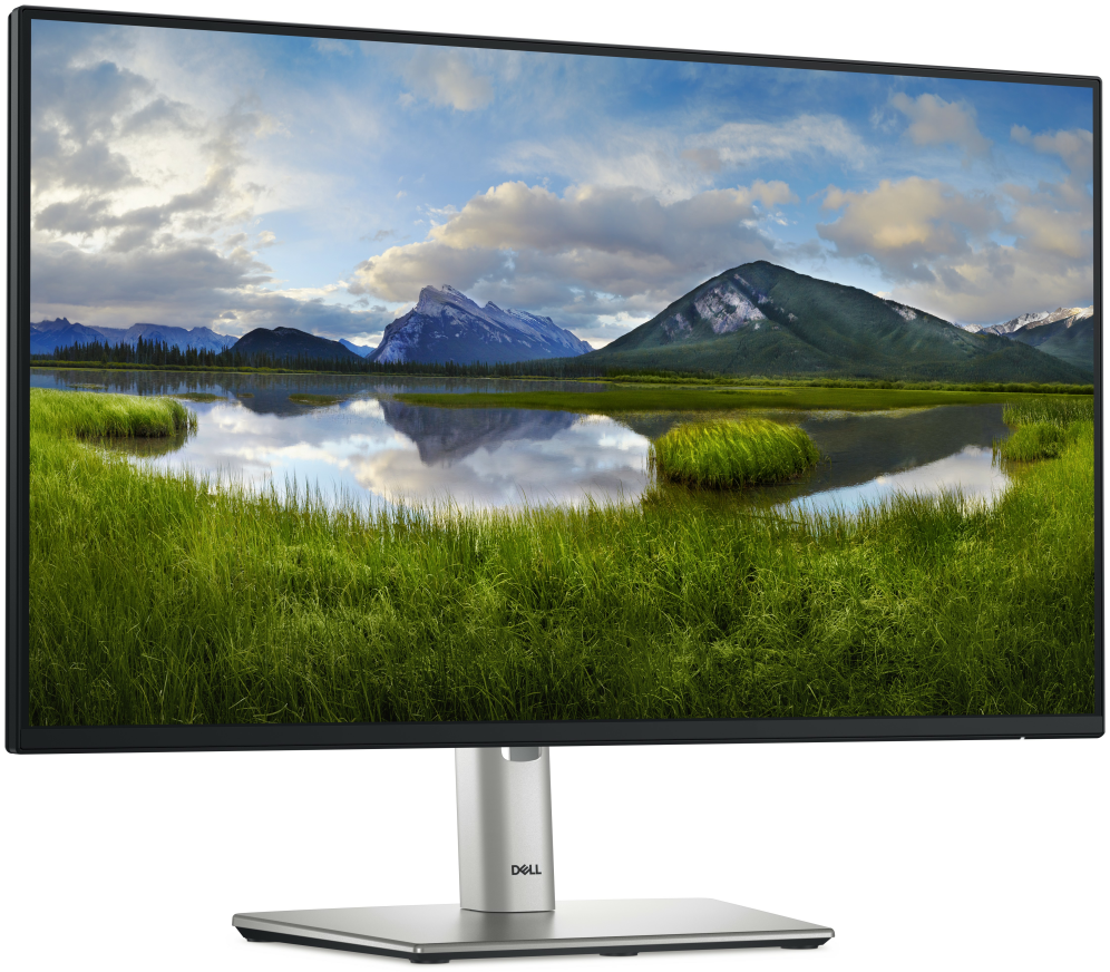 MONITOR Dell 24 Monitor - P2425HDell P2425H - Monitor LED - 24" (23. - detalle