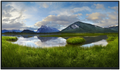 MONITOR DELL 27" P2725HWO FHD MONITOR WOST
