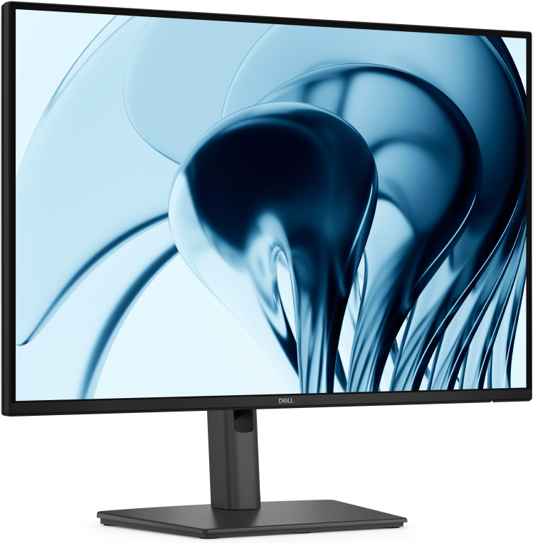 DELL Pro P P2426 pantalla para PC 61.2 cm (24.1") 1920 x 1200 Pixeles WUXGA LCD Gris