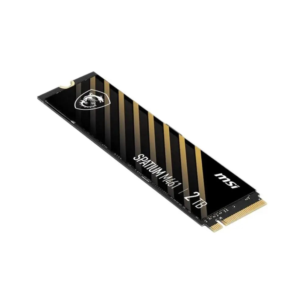 MSI SSD M461 2Tb PCIe 4.0 NVMe 5000 Mb-s - detalle