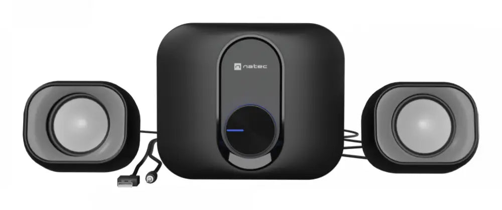 NATEC NGL-2111 sistema de audio para el hogar Minicadena de música para uso doméstico 3 W Negro