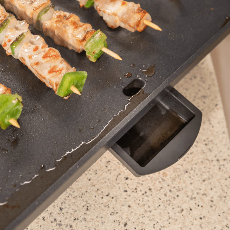 PLANCHA DE ASAR CECOTEC 01750 MAGNET 1800 - detalle