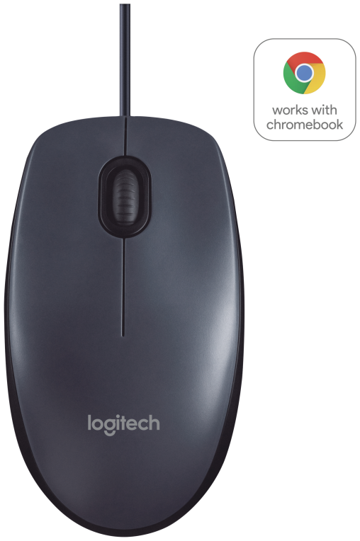 RATON LOGITECH B100 NEGRO USB