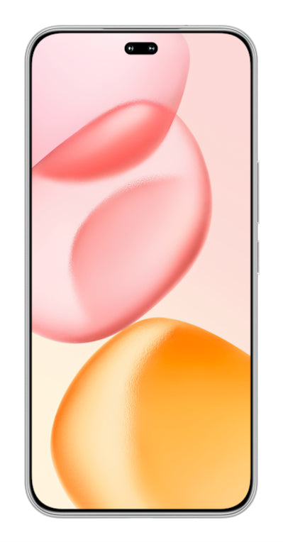 Honor 400 Pro 17 cm (6,7") MagicOS 9.0 5G 12 GB 512 GB 5300 mAh Gris