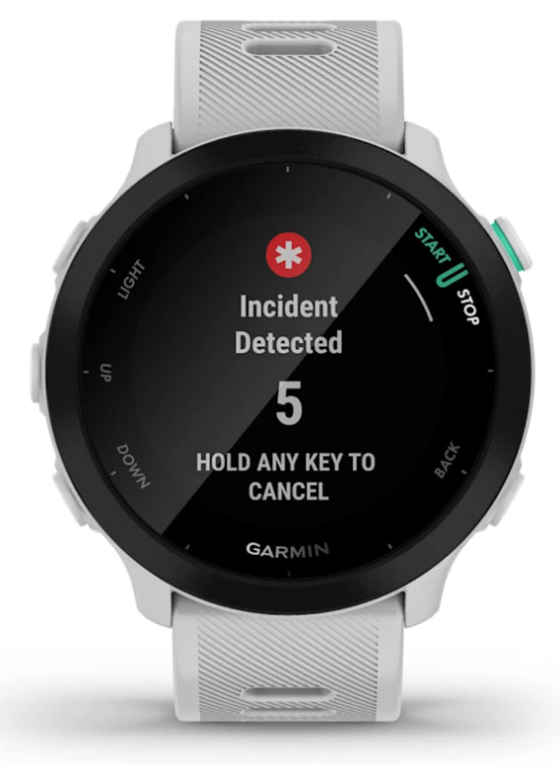 SMARTWATCH GARMIN FORERUNNER 55 GPS 42MM WHITESTONE - detalle