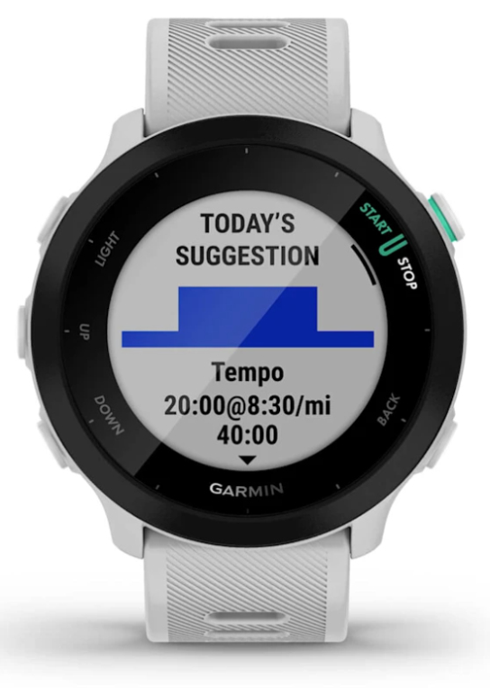 SMARTWATCH GARMIN FORERUNNER 55 GPS 42MM WHITESTONE - detalle
