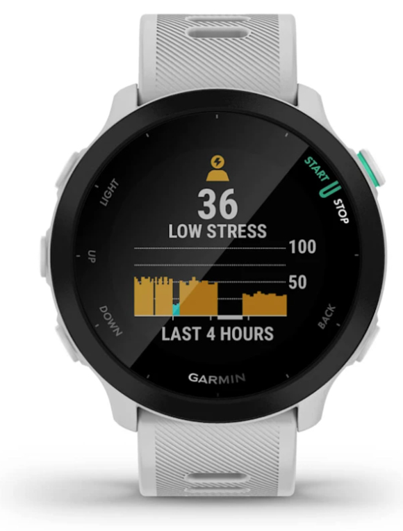SMARTWATCH GARMIN FORERUNNER 55 GPS 42MM WHITESTONE - detalle