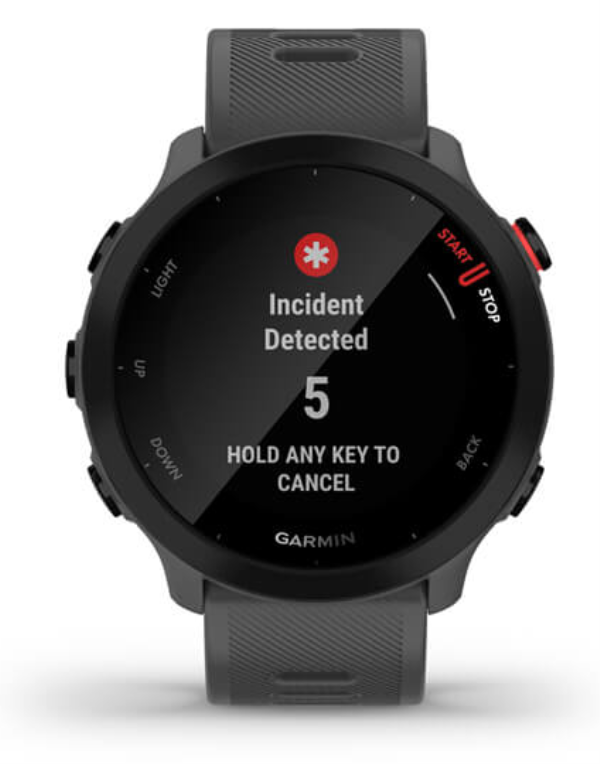 SMARTWATCH GARMIN FORERUNNER 55 GPS GREY - detalle