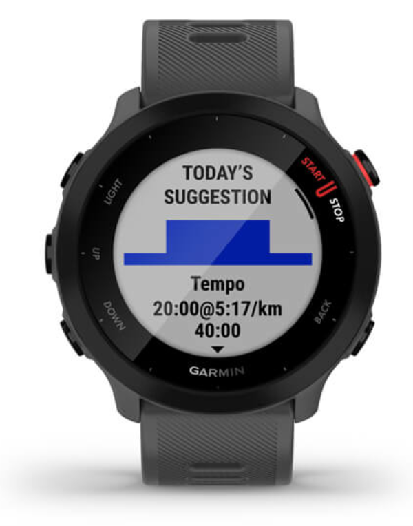SMARTWATCH GARMIN FORERUNNER 55 GPS GREY - detalle