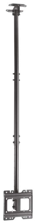 AISENS Soporte de techo giratorio. inclinable. extensible para monitor/TV 50kg de 23”-43”. Negro