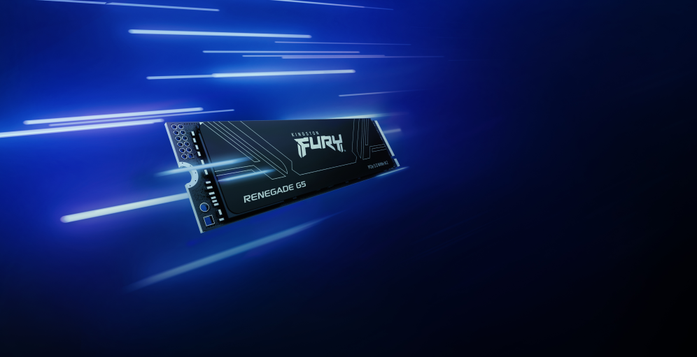 SSD KINGSTON FURY 1TB RENEGADE G5 - detalle