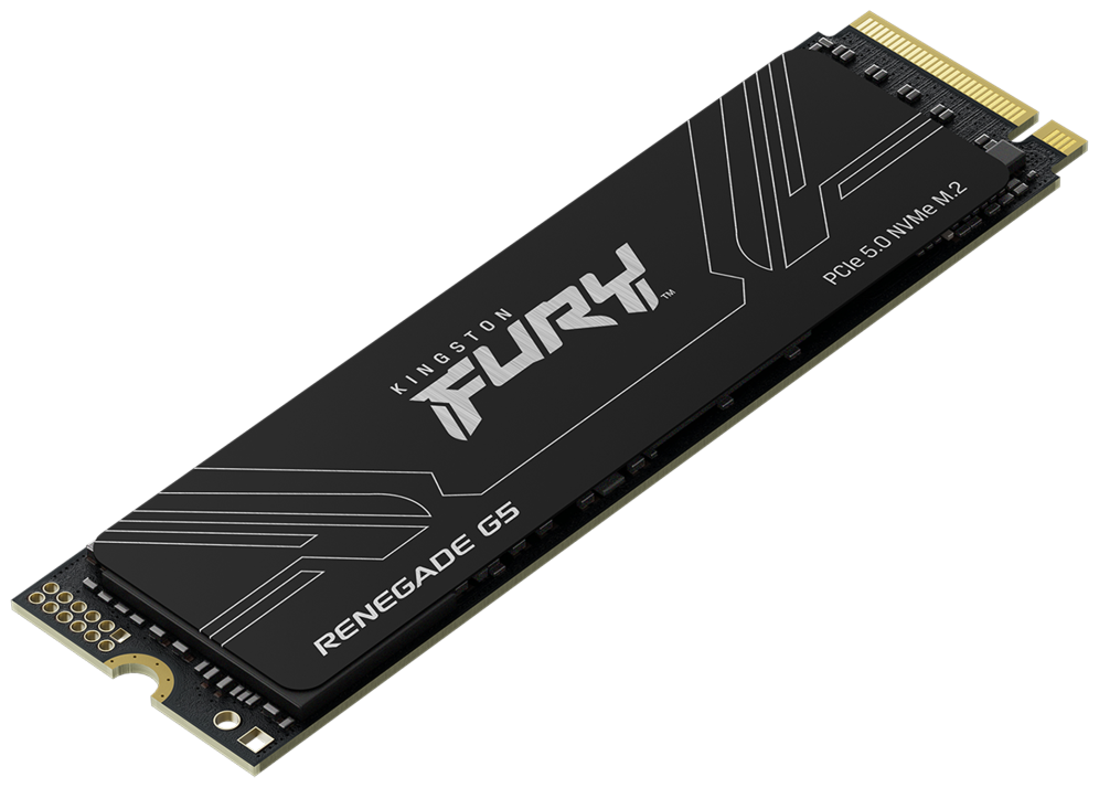 SSD KINGSTON FURY 1TB RENEGADE G5 - detalle