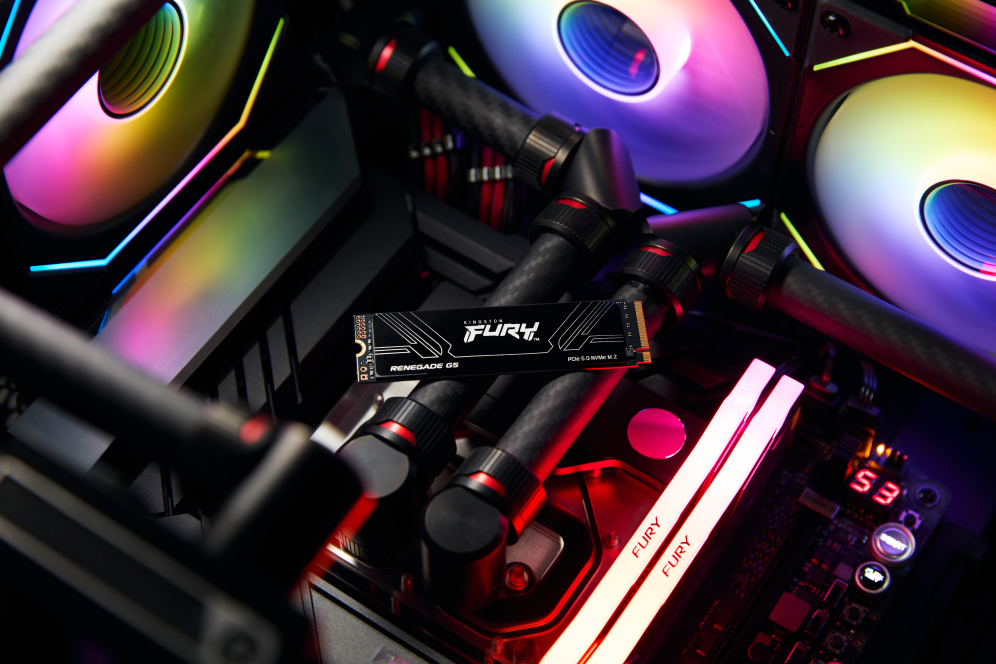 SSD KINGSTON FURY 1TB RENEGADE G5 - detalle