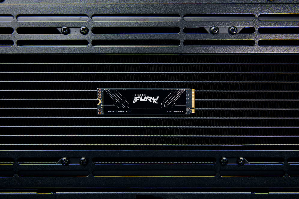 SSD KINGSTON FURY 1TB RENEGADE G5 - detalle