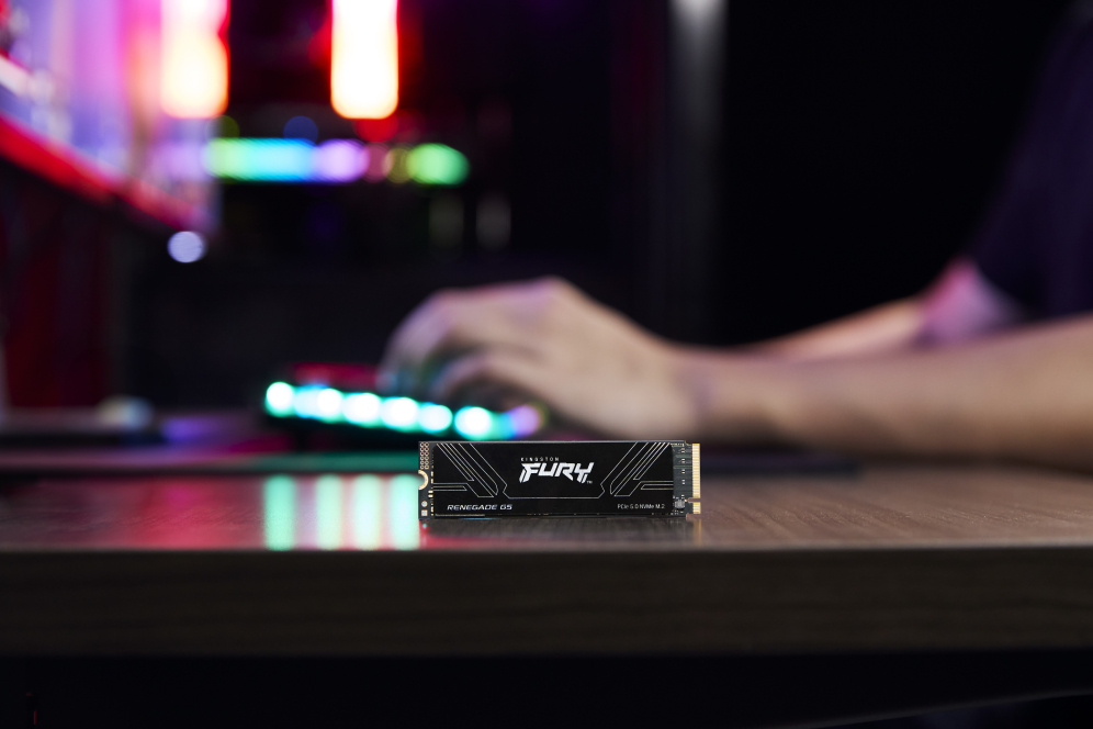 SSD KINGSTON FURY 1TB RENEGADE G5 - detalle