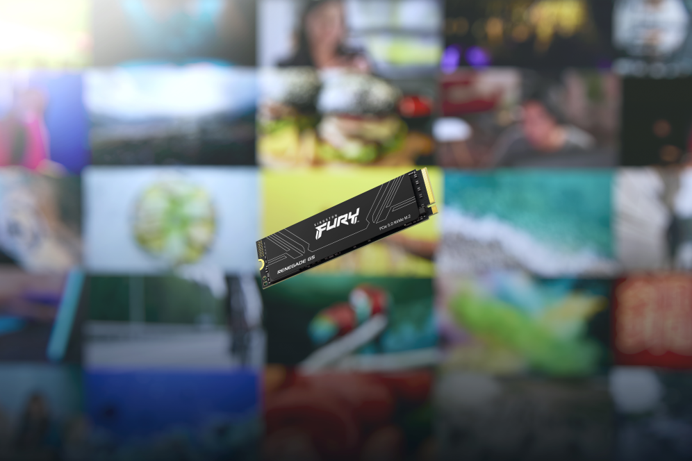 SSD KINGSTON FURY 1TB RENEGADE G5 - detalle