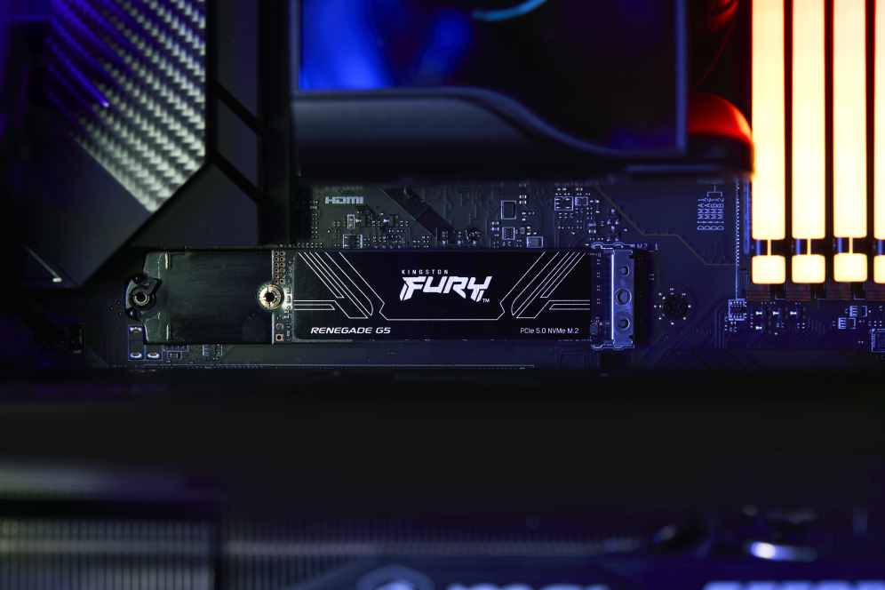 SSD KINGSTON FURY 1TB RENEGADE G5 - detalle