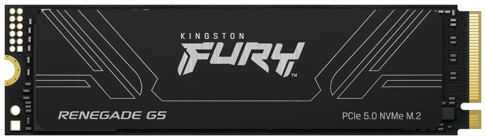 SSD KINGSTON FURY 1TB RENEGADE G5