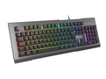 GENESIS Rhod 500 RGB teclado Juego USB QWERTY Portugués Negro. Plata