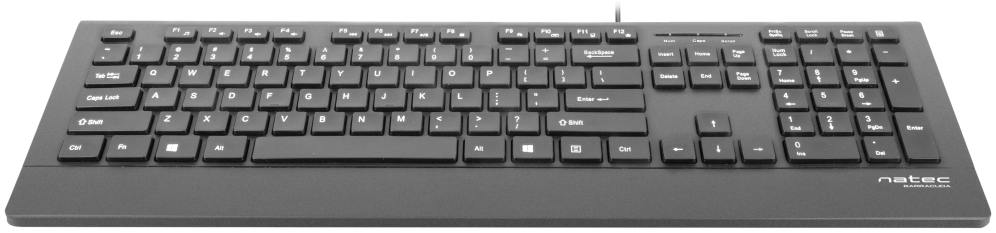 TECLADO NATEC BARRACUDA SLIM USB NEGRO - detalle