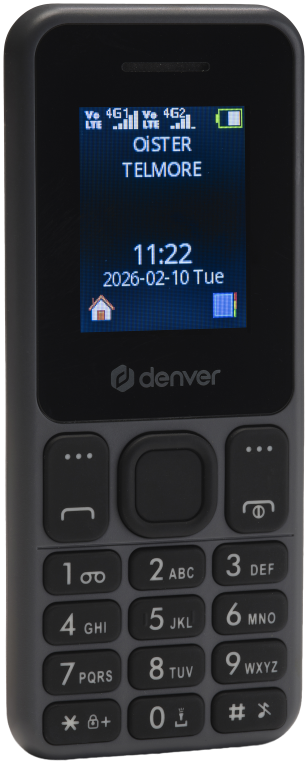 TELEFONO DENVER BASICO 4G - detalle