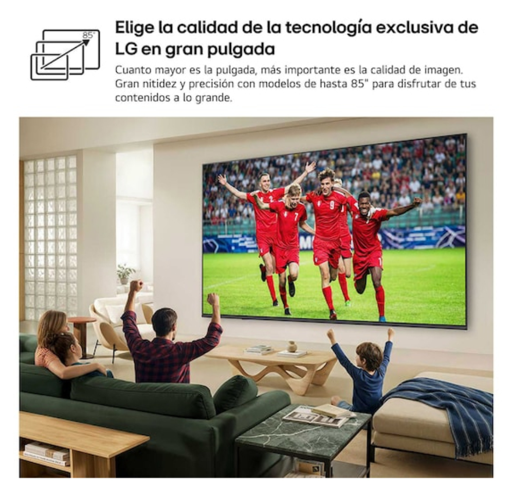 TV LG 50QNED81B6C.AEU 50" QNED EVO MINILED PATAS LATERALES WIFI HDMI X3 - detalle