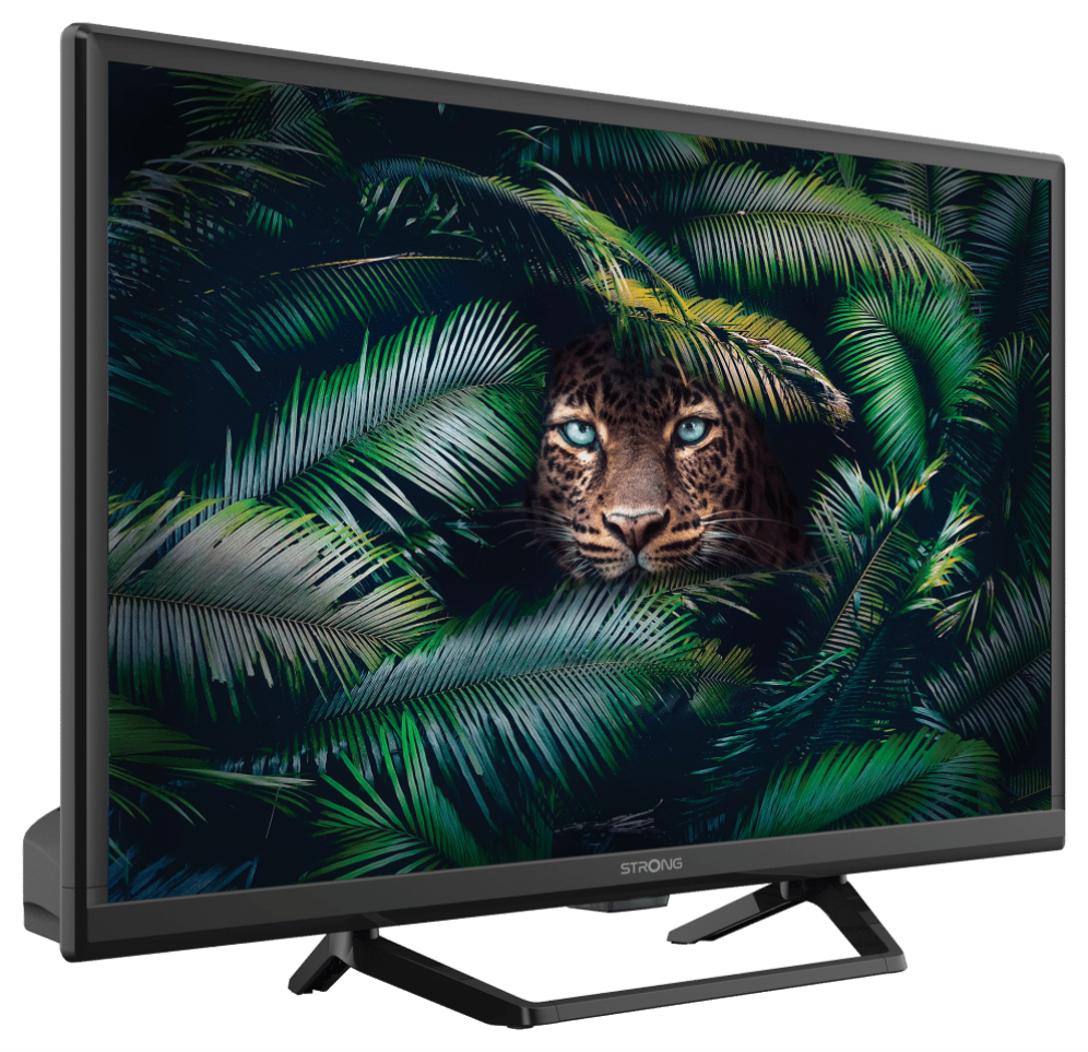 TV STRONG 24" SERIE 24HE4023C - detalle