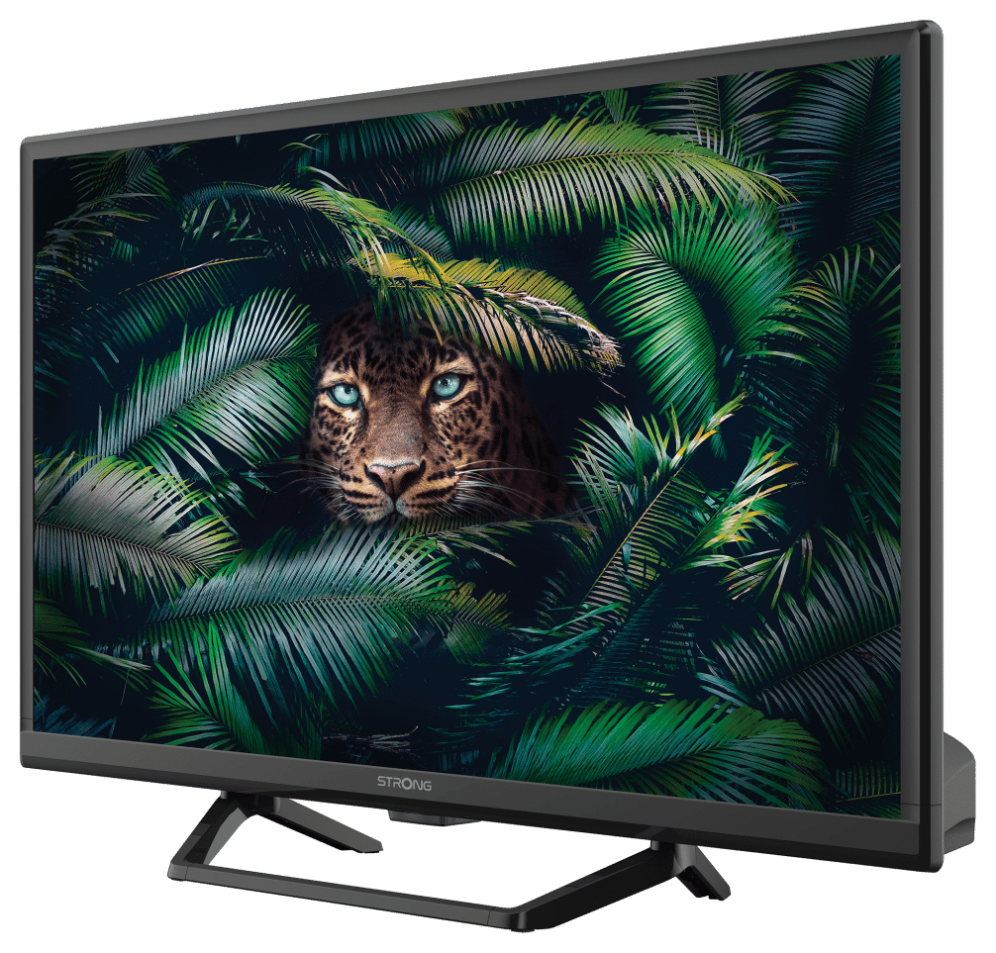 TV STRONG 24" SERIE 24HE4023C - detalle