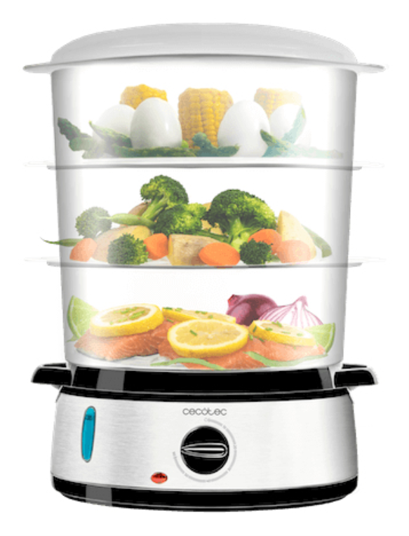 VAPORERA CECOTEC VAPOVITA 3000 INOX - detalle