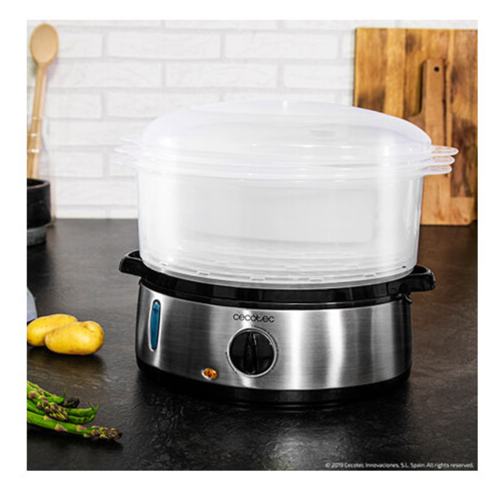 VAPORERA CECOTEC VAPOVITA 3000 INOX - detalle